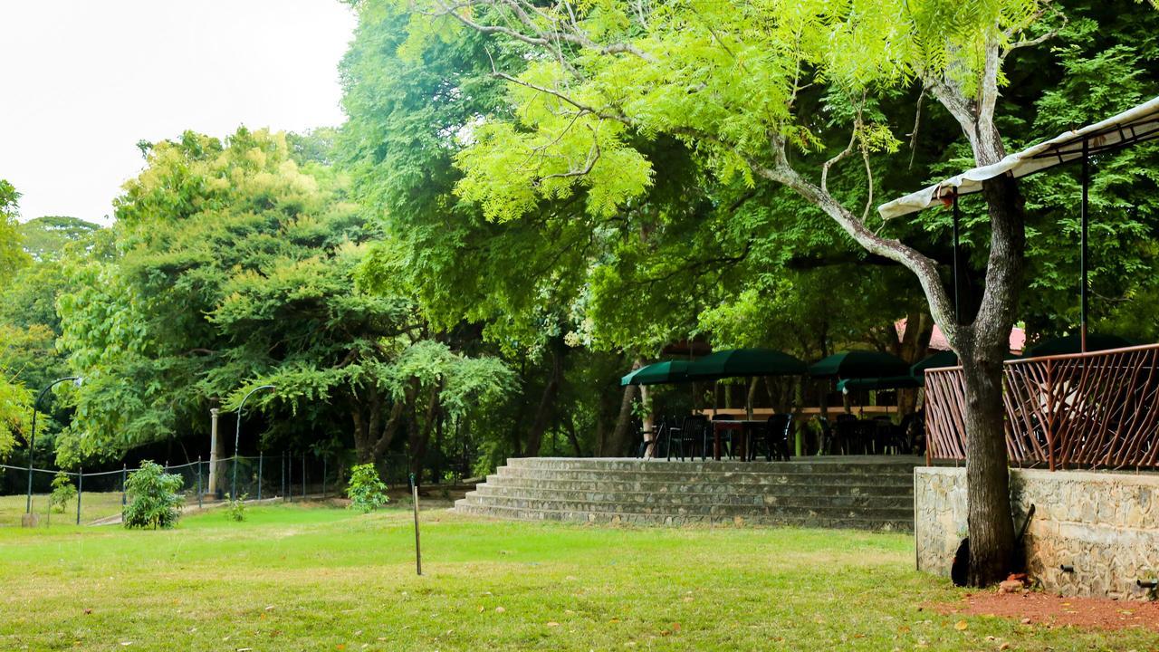 Bed and Breakfast Malwathu Oya Caravan Park Anuradhapura Exterior foto
