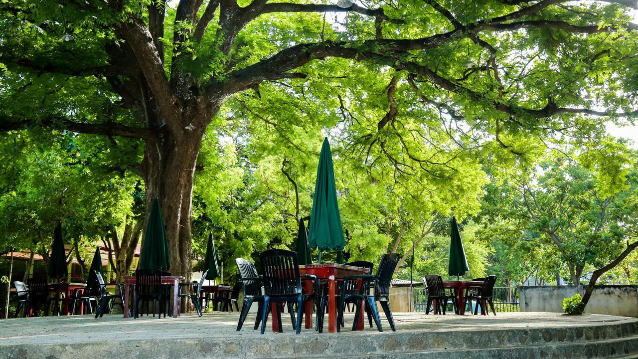 Bed and Breakfast Malwathu Oya Caravan Park Anuradhapura Exterior foto